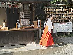 Kamakura - Kamakuragu Shrine