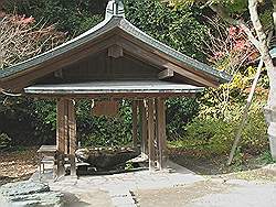 Kamakura - Kamakuragu Shrine