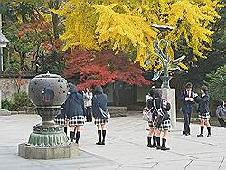 Kamakura - Kotoku klooster