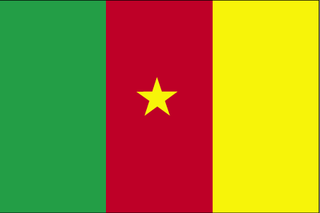 vlag van Kameroon