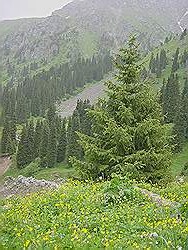 Bergwandeling - mooi uitzicht