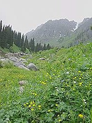 Bergwandeling - mooi uitzicht