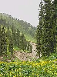 Bergwandeling - mooi uitzicht