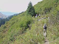 Bergtocht naar de waterval