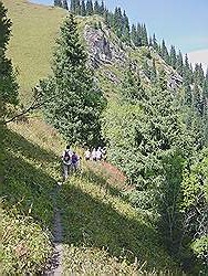 Bergtocht naar de waterval