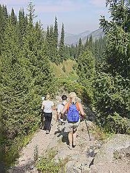 Bergtocht naar de waterval