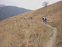 Bergtocht in de herfst