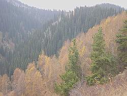 Bergtocht in de herfst - prachtige kleuren