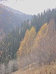 Bergtocht in de herfst - prachtige kleuren