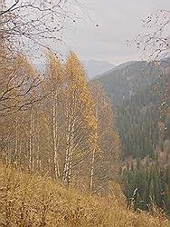 Bergtocht in de herfst - prachtige kleuren