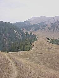 Bergtocht in de herfst - de bergweide op 2700 m hoogte