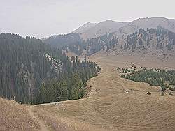 Bergtocht in de herfst - de bergweide op 2700 m hoogte