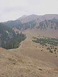 Bergtocht in de herfst - de bergweide op 2700 m hoogte