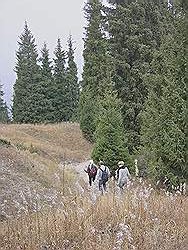 Bergtocht in de herfst