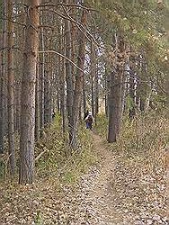 Bergtocht in de herfst