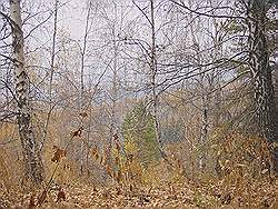 Bergtocht in de herfst