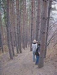 Bergtocht in de herfst - erg steile afdaling; gelukkig heb je aan de bomen nog wat houvast