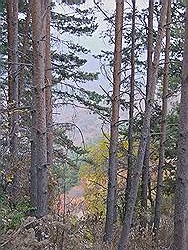 Bergtocht in de herfst