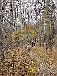 Bergtocht in de herfst - prachtige kleuren