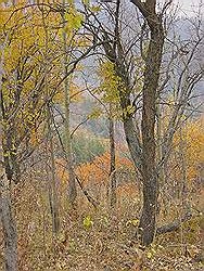 Bergtocht in de herfst - prachtige kleuren