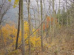 Bergtocht in de herfst - prachtige kleuren