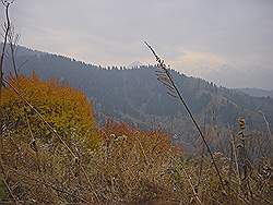 Bergtocht in de herfst - prachtige kleuren