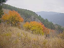 Bergtocht in de herfst - prachtige kleuren