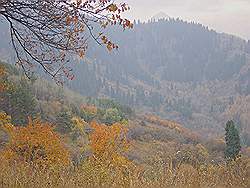 Bergtocht in de herfst - prachtige kleuren