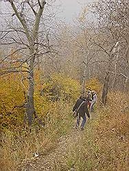 Bergtocht in de herfst - steile afdaling