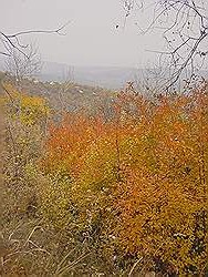 Bergtocht in de herfst - prachtige kleuren