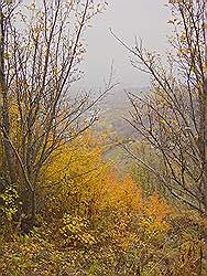 Bergtocht door het voorgebergte in de herfst