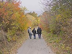 Bergtocht in de herfst - prachtige kleuren