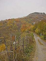 Bergtocht in de herfst - prachtige kleuren