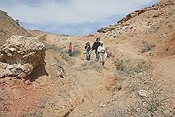 Charyn Canyon