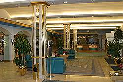 Het Radisson/ SAS hotel - lobby