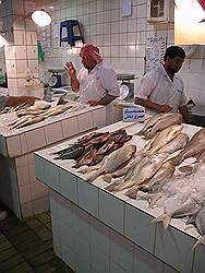 Kuwait - de souk; vismarkt