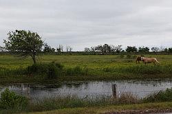 Zuidelijk Louisiana