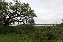 Zuidelijk Louisiana