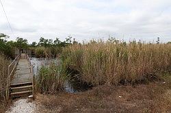 Zuidelijk Louisiana