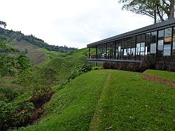 Cameron Highlands