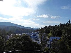 Cameron Highlands