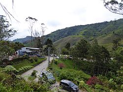 Cameron Highlands