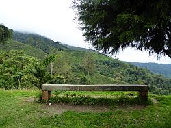 Cameron Highlands