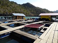 Langkawi