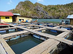 Langkawi