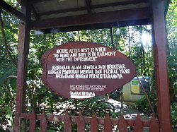 Taman Negara