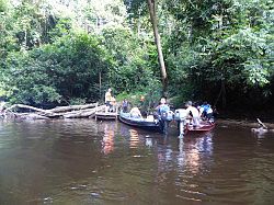 Taman Negara