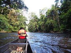 Taman Negara