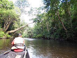 Taman Negara