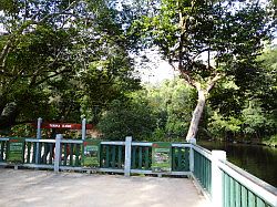 Taman Negara